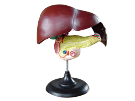 SD-093 33216ʮ֬cKģ